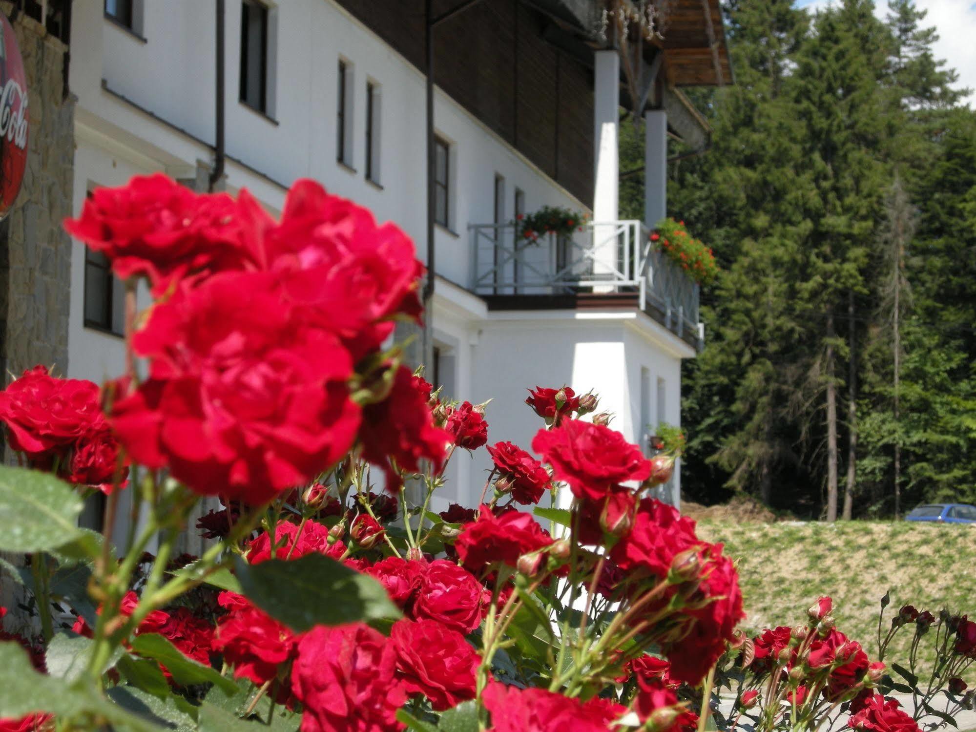 Hotel Jaworzyna Krynicka Krynica Zdroj Exterior photo